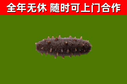 利通烟酒回收干海参.jpg